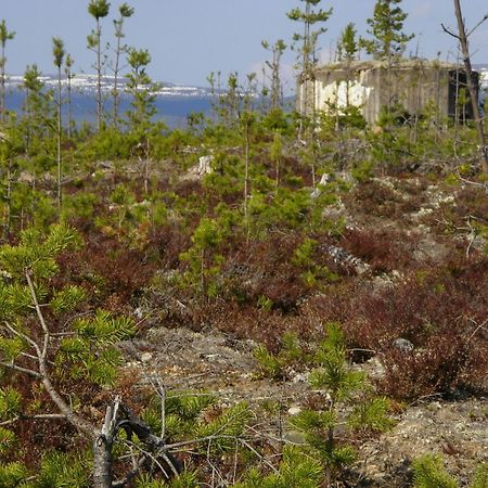 Saelens Vandrarhem I Graesheden Stöten Exterior foto