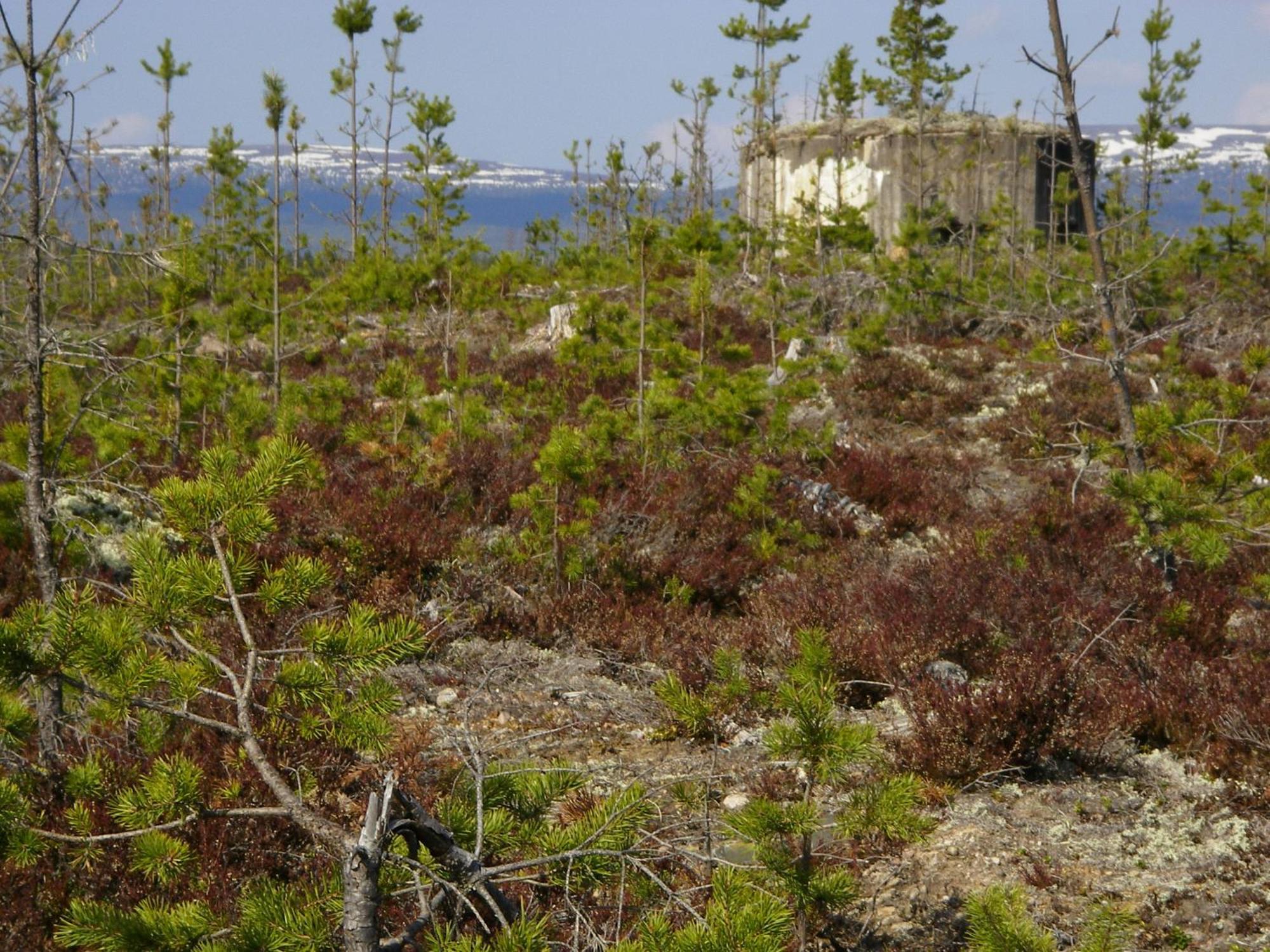 Saelens Vandrarhem I Graesheden Stöten Exterior foto