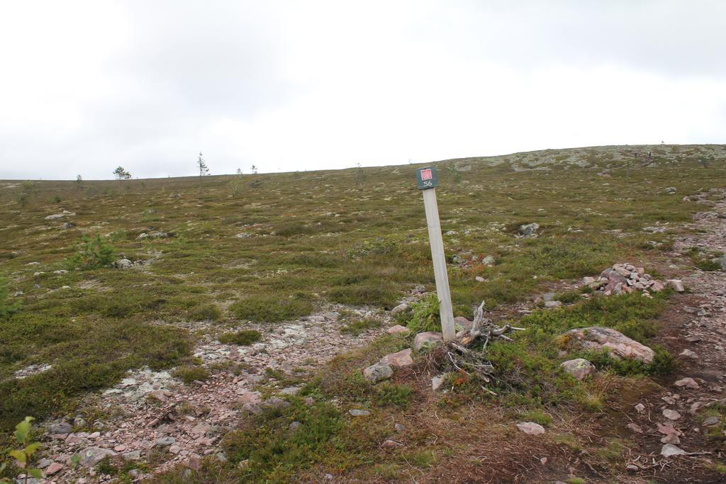 Saelens Vandrarhem I Graesheden Stöten Exterior foto