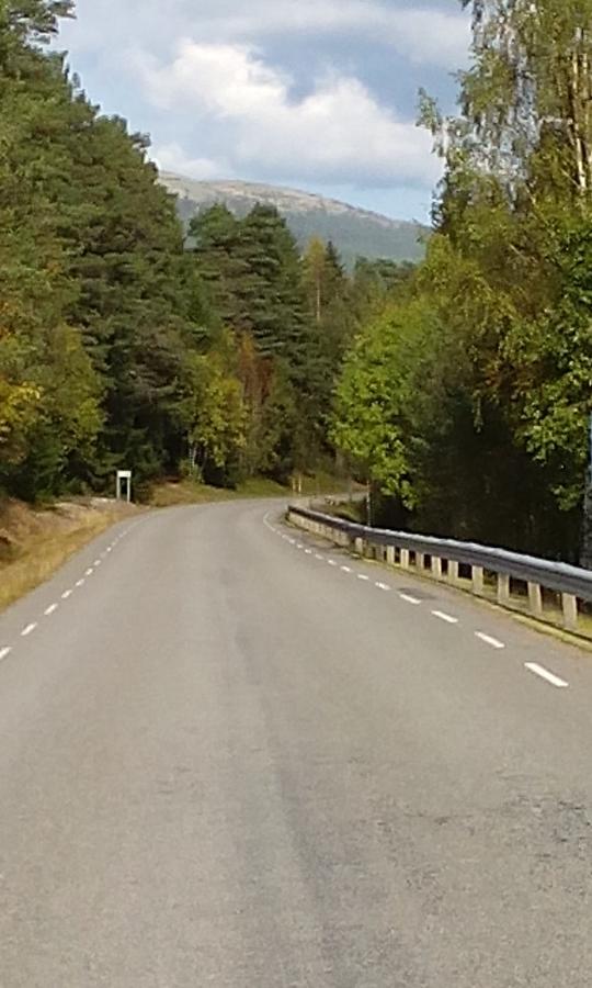 Saelens Vandrarhem I Graesheden Stöten Exterior foto